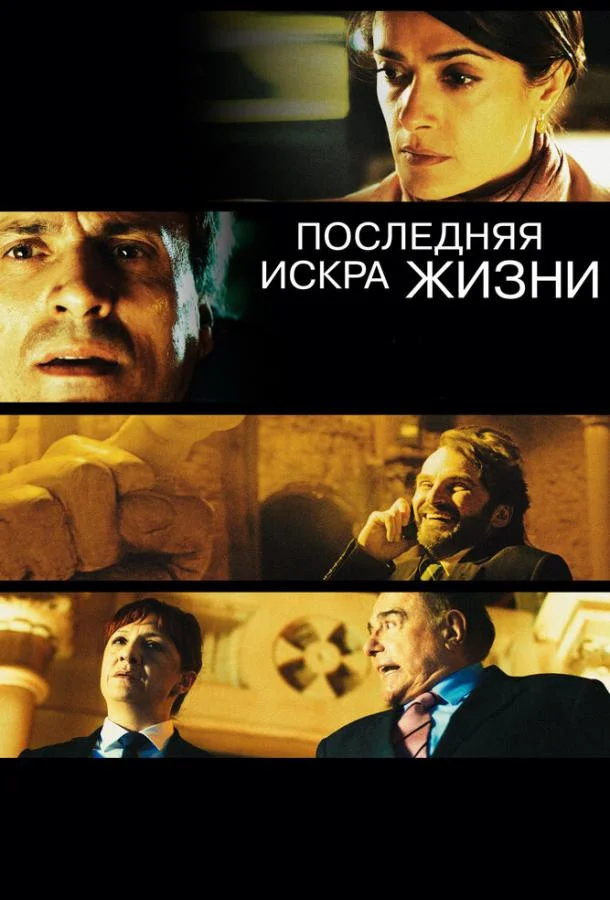 Постер к Последняя искра жизни (2011)