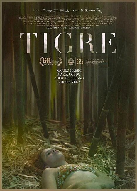 Постер к Тигр (2017)