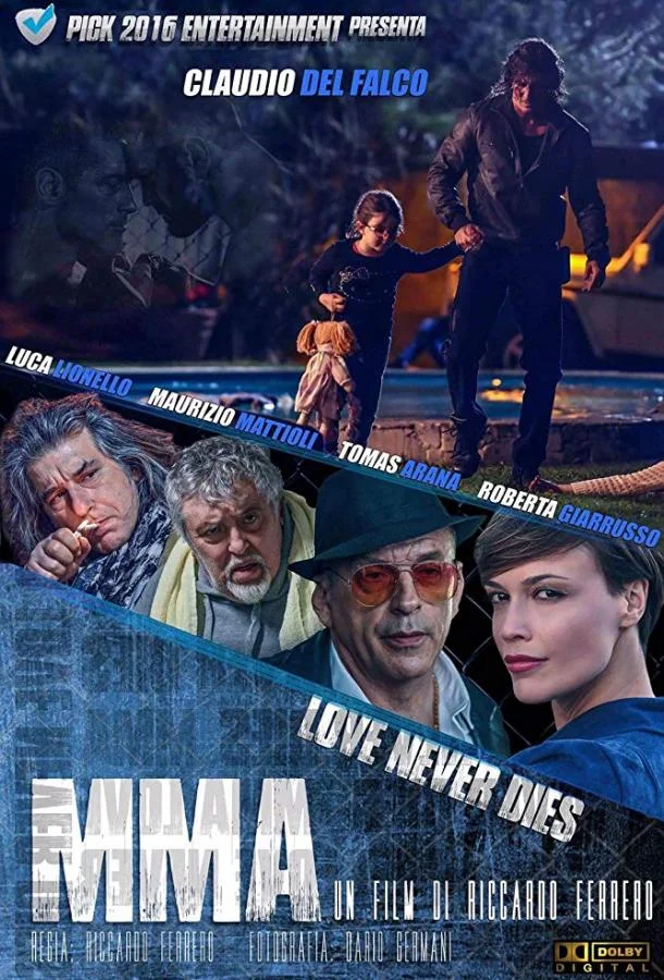 Финальный бой (2017)